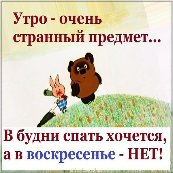 Утро очень странный предмет в будни спать хочется