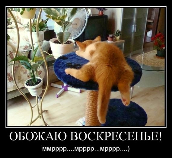 Смешное про воскресенье