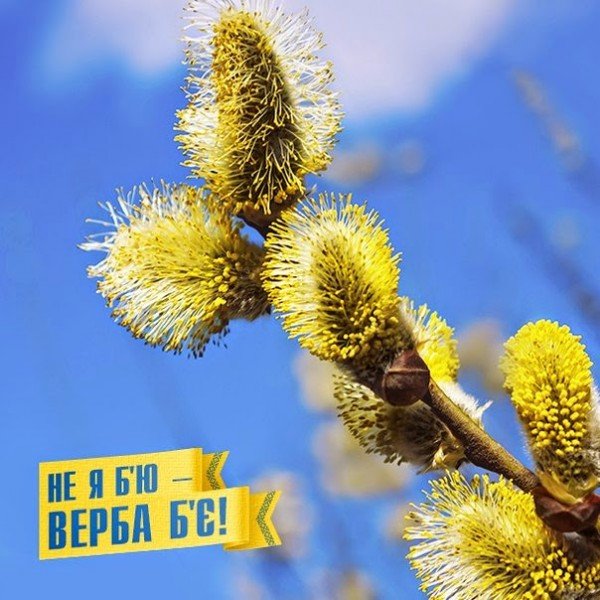 Вербна недиля