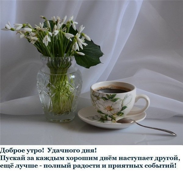 Доброе утро подснежники