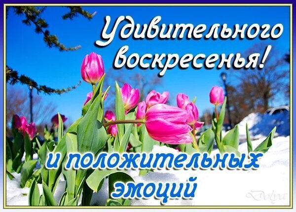 С весенней субботой