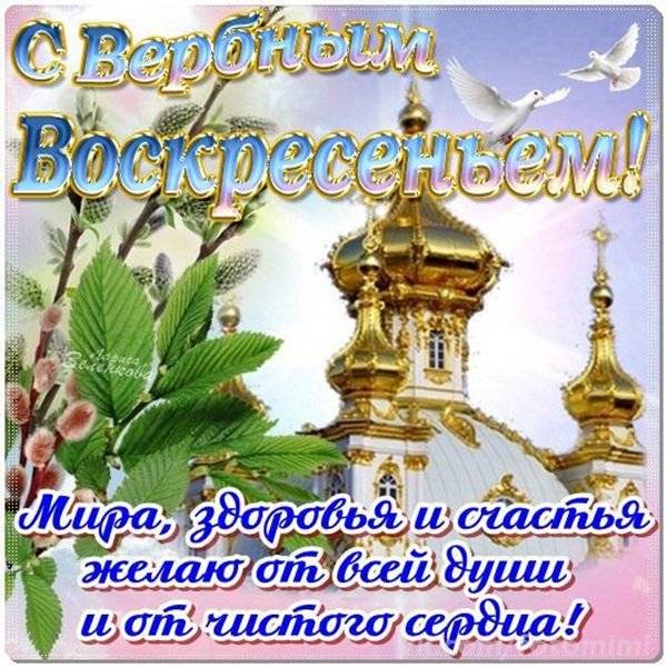 С наступающим Вербным воскресеньем