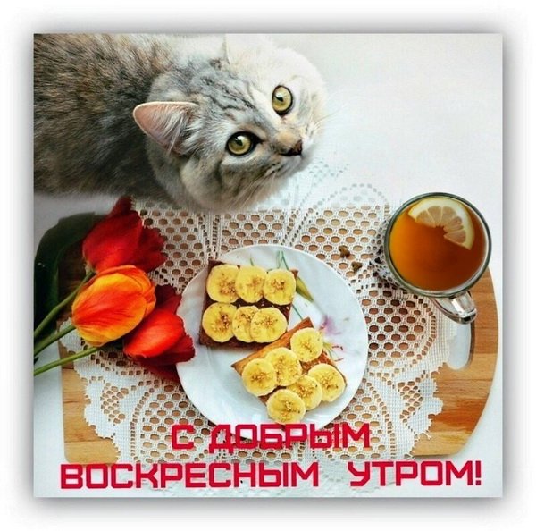 С добрым утром Воскресе
