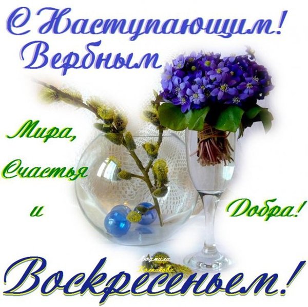 С наступающим Вербным воскресеньем