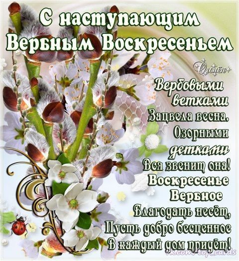 С наступающим Вербным воскресеньем