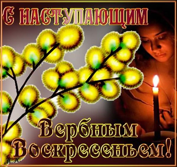 С наступающим Вербным воскресеньем