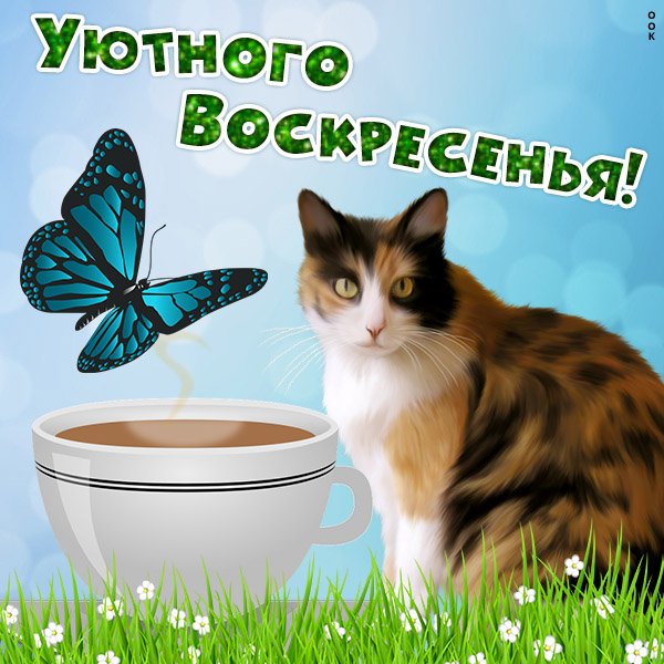 Приятного воскресенья Отдохни