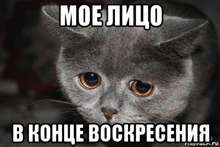 Ура воскресенье