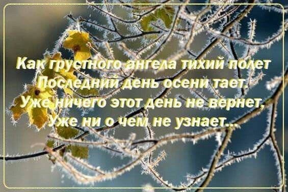 С днем рождения Дочки Лизы