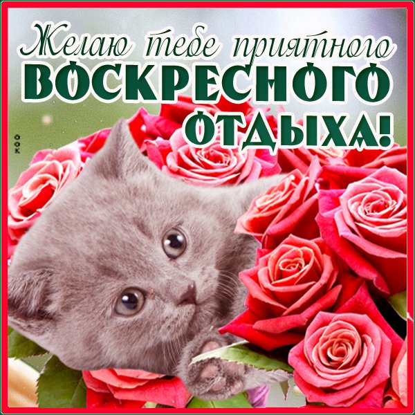 С воскресеньем прикольные