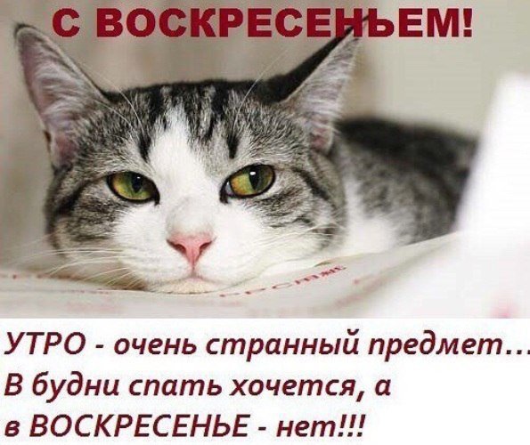 Сонное утро воскресенья