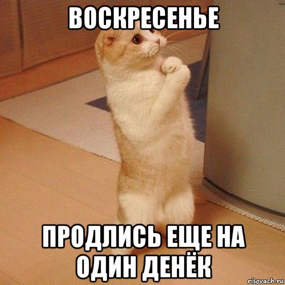 Выздоравливай Мем