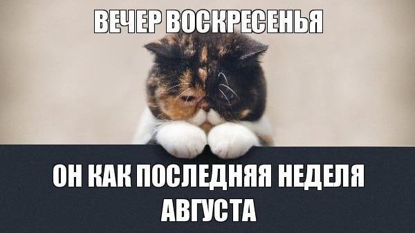 Вечер воскресенья