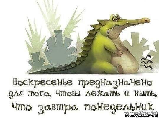 С воскресеньем с юмором картинки