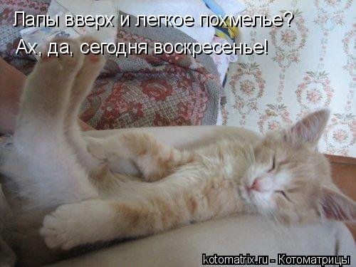 Доброе утро с похмелья