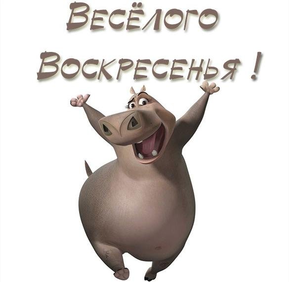 Доброе утро смешные картинки