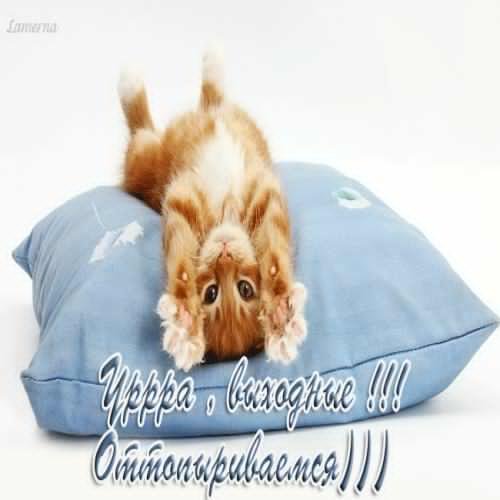 Хорошего отдыха в выходные