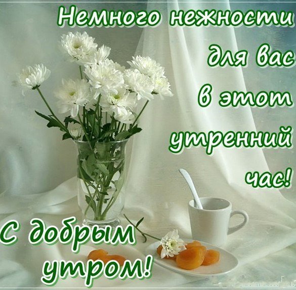 Цитаты про выходные