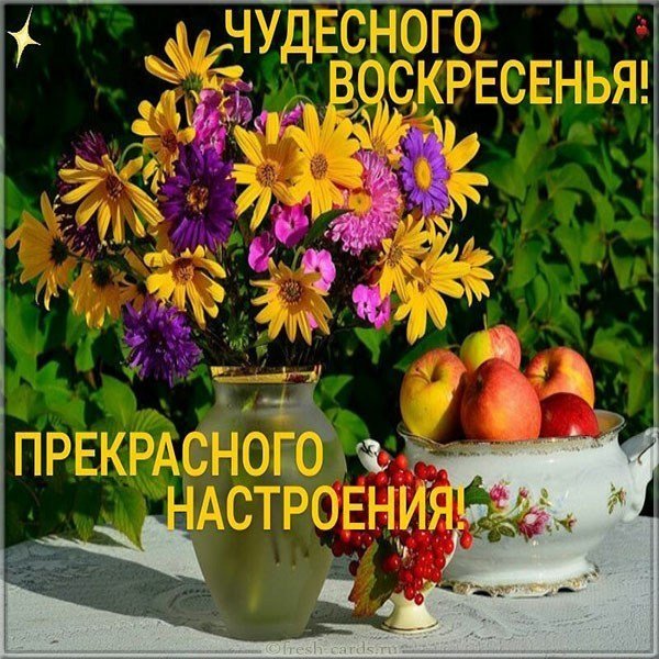 Прекрасного воскресенья и отличного настроения