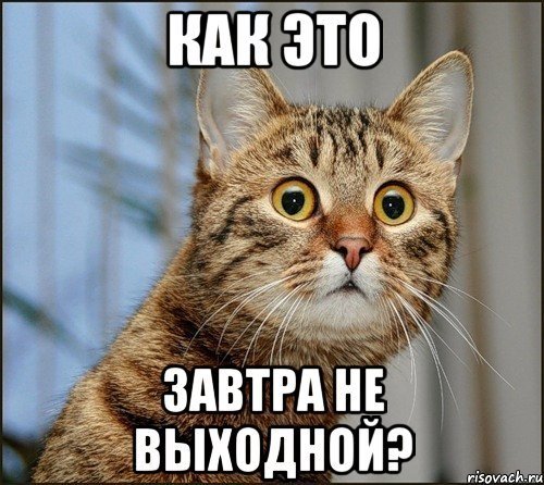 Выходные закончились завтра на работу