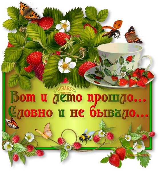 Поздравление с летним утром и днем