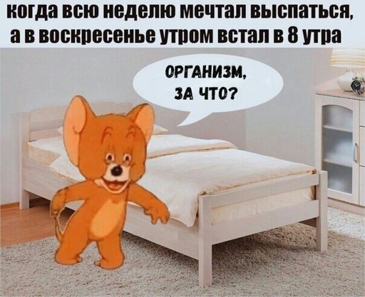 Воскресенье высыпаемся