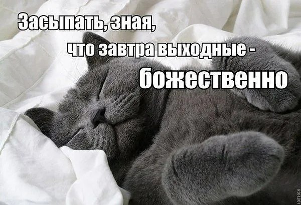 Спокойной ночи завтра воскресенье