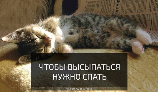 Хорошо выспаться