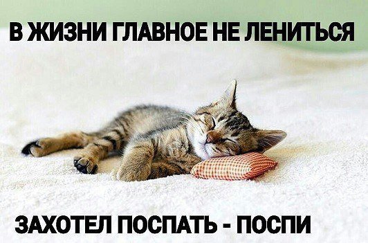 В жизни главное не лениться