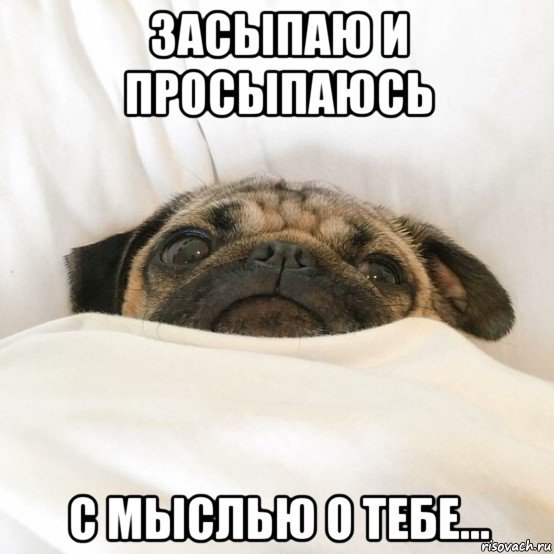 Засыпаю и просыпаюсь с мыслями о тебе