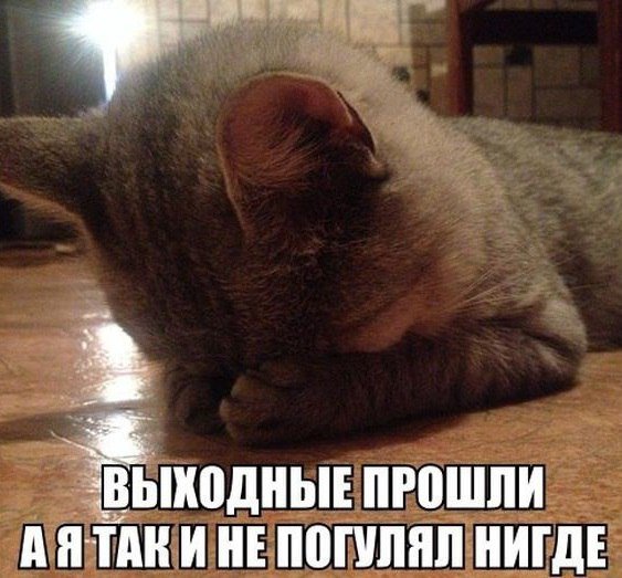 Как прошли выходные