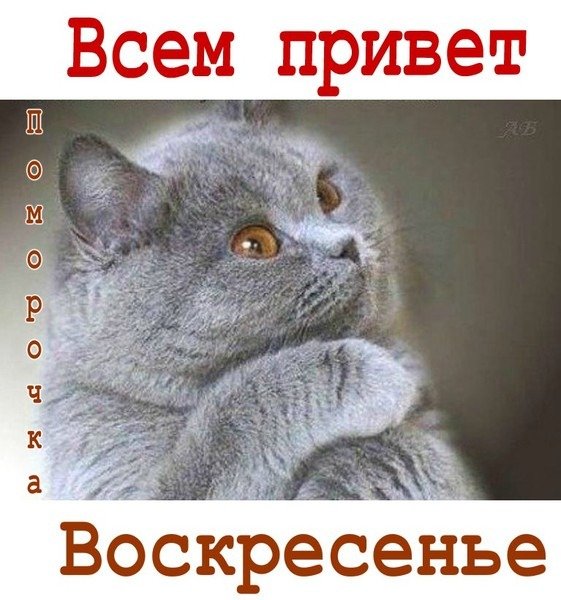 Воскресенье картинки прикольные