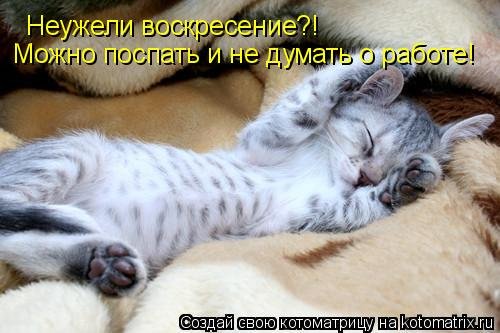 Наконец то воскресенье
