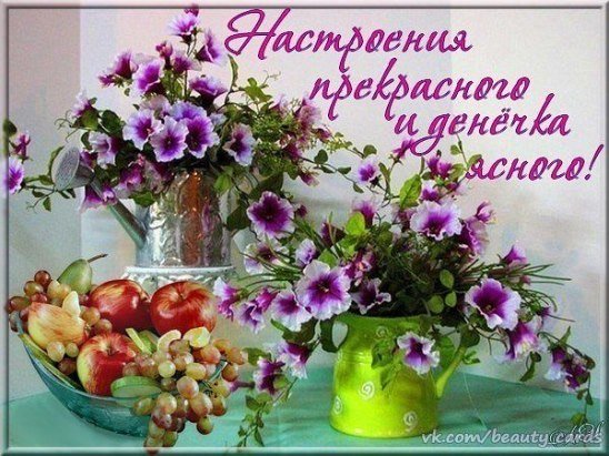 Замечательного утра и прекрасного настроения