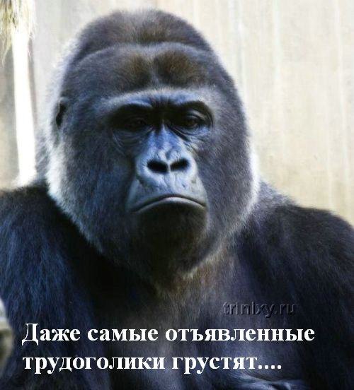 Работа в воскресенье