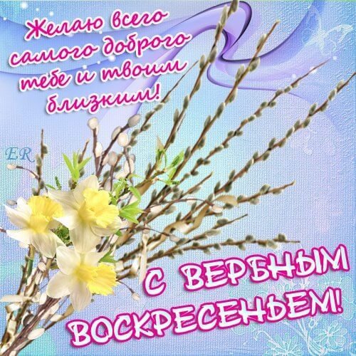 С Вербным воскресеньем открытки