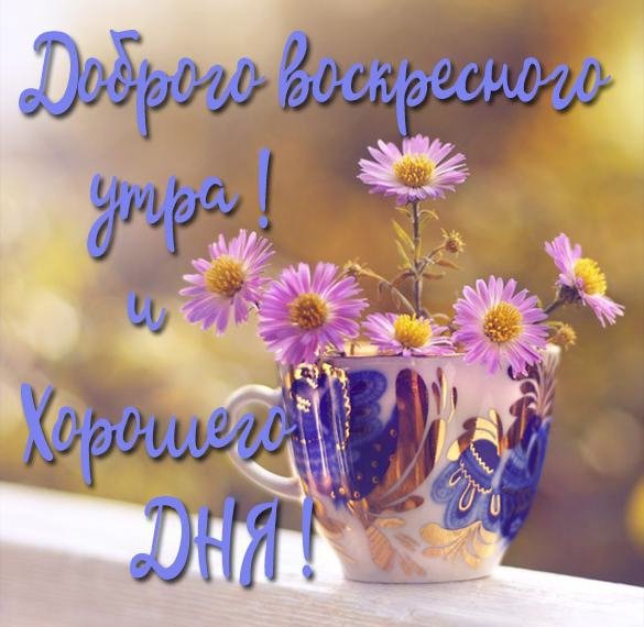 Открытки с добрым утром воскресенья