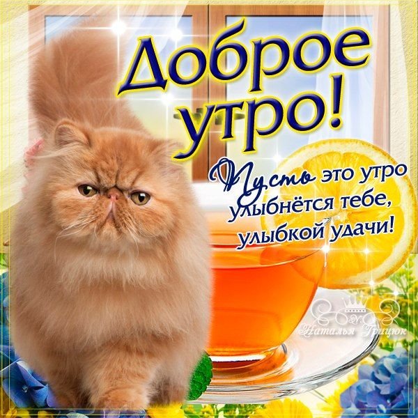 Открытки с юмором