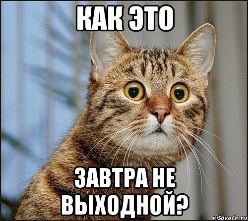 Выходные закончились завтра на работу