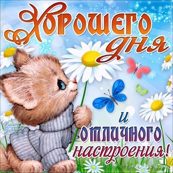 Удачного денечка и хорошего настроения