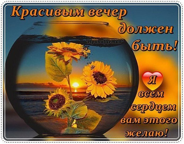 Добрый вечер среды