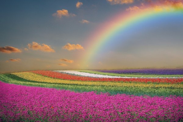 Разноцветная природа