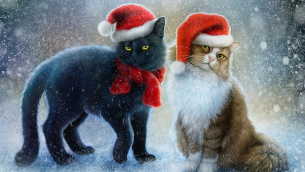 Новогодние котики на рабочий стол