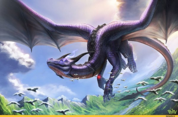 Самые красивые драконы