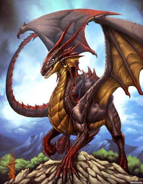 Вирм дракон