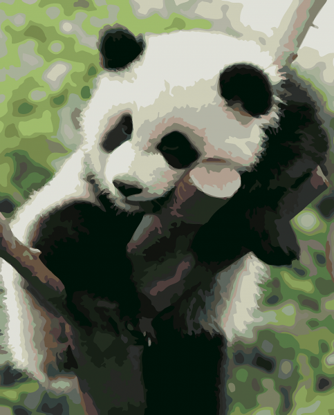 Картинки панда (44 фото)