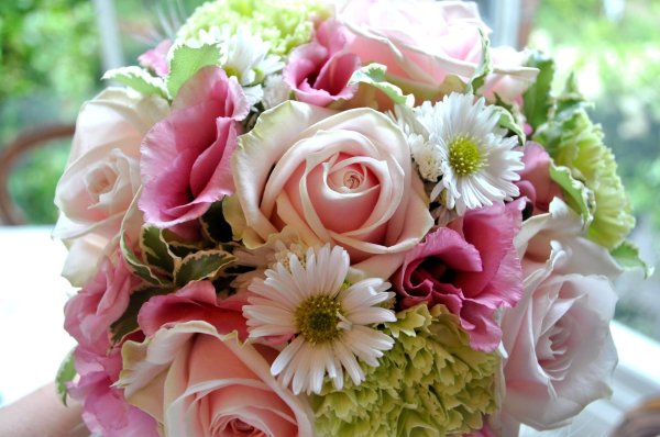 Pink Bouquet Астра
