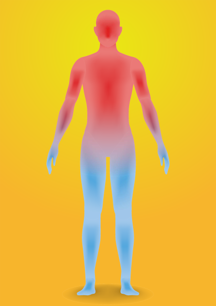 Человеческое тело картинка