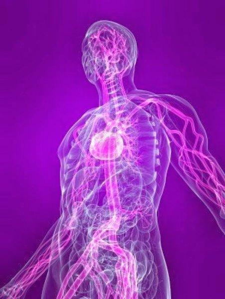 Дела человеческие