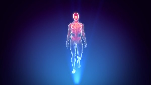 Художник Джон Попплтон